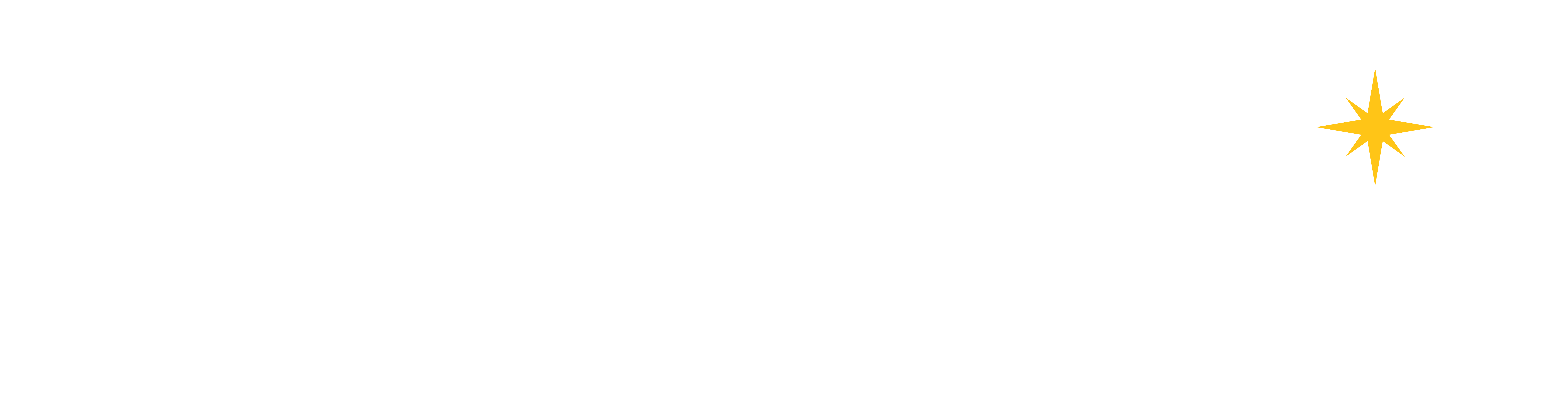 Shawko Logo